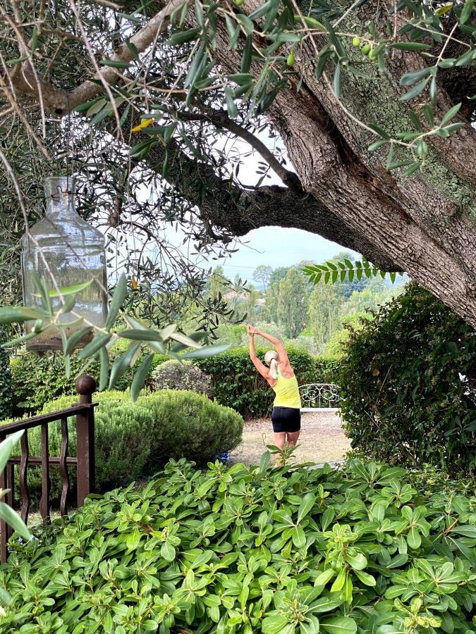 Le Manoir De L'Etang 호텔 무젱 외부 사진